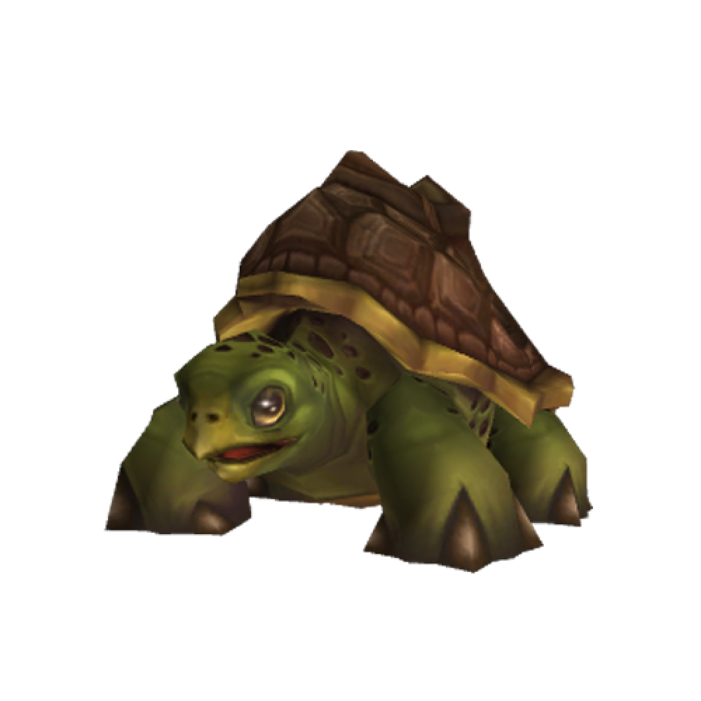 Riding Turtle Riding Turtle